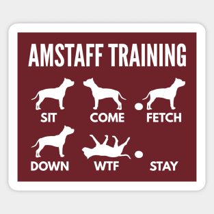 Amstaff Training Staffordshire Tricks Sticker